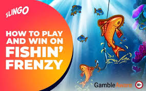 Dive into the Exciting World of Fishin' Frenzy Play 336277502 Dive into the Exciting World of Fishin' Frenzy Play 336277502