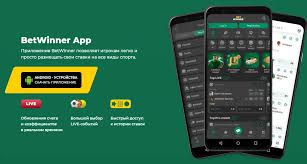 Discover the Thrills of BetWinner Betting Platform
